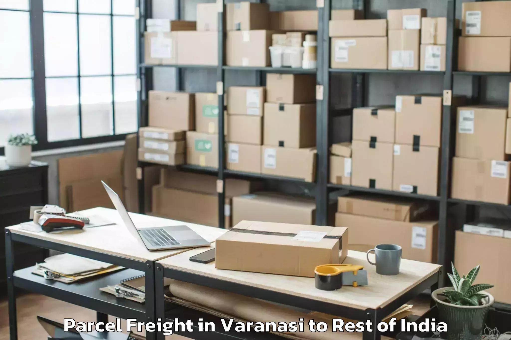 Book Varanasi to University Of Jammu Parcel Freight Online